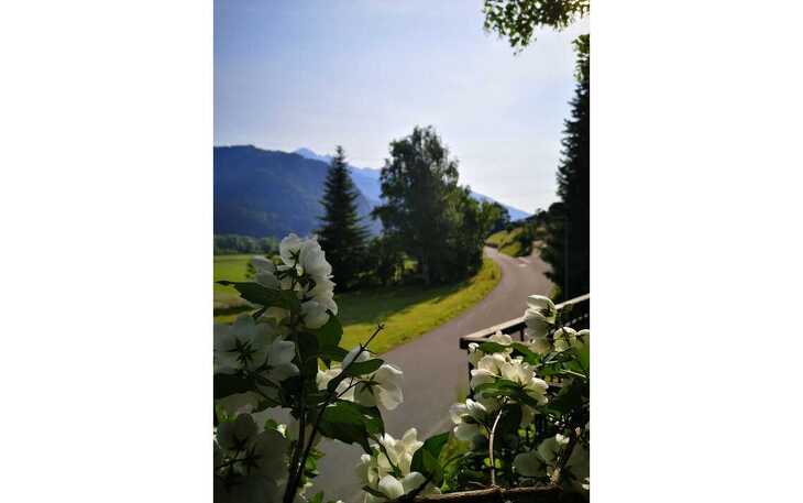 Bild 16
