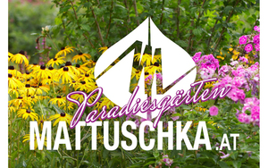 Logo 162376