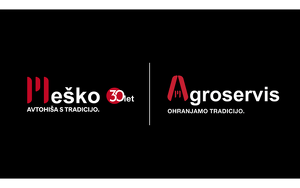 Logo 167384