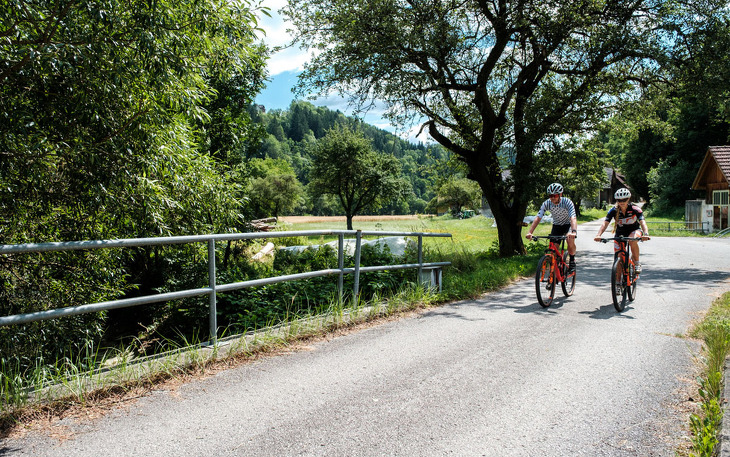 Bild 11