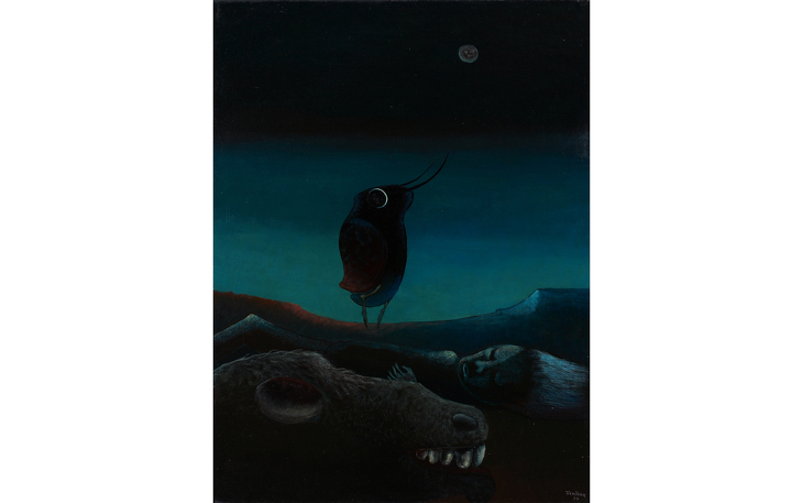 Bild 7