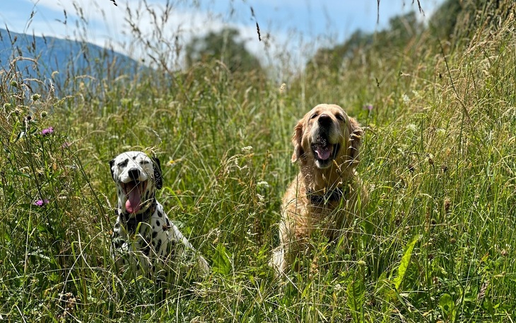 Bild 5