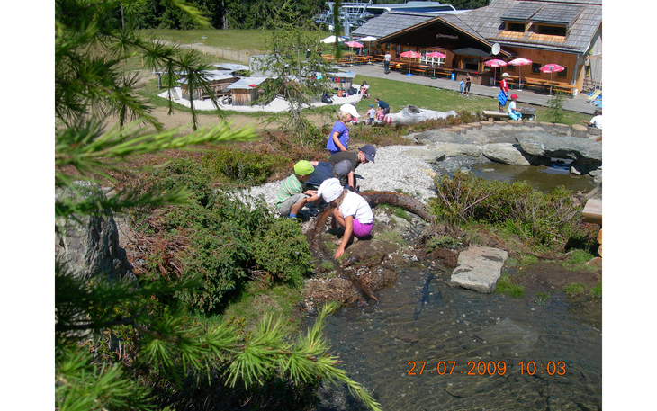 Bild 8