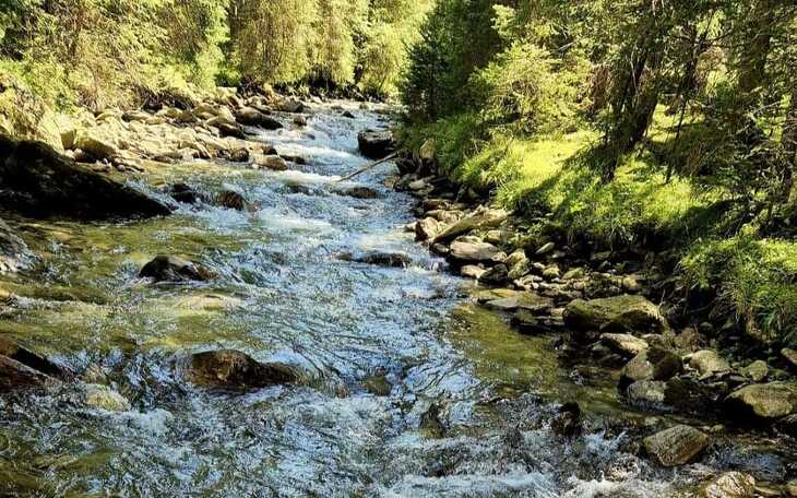 Bild 12
