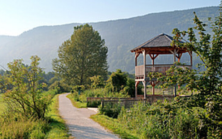 Bild 24