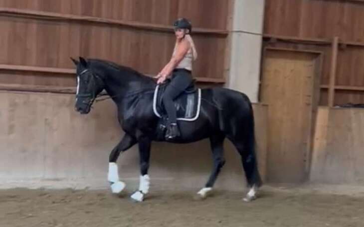 Bild 6