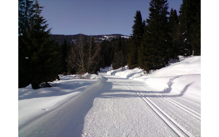 Bild 16
