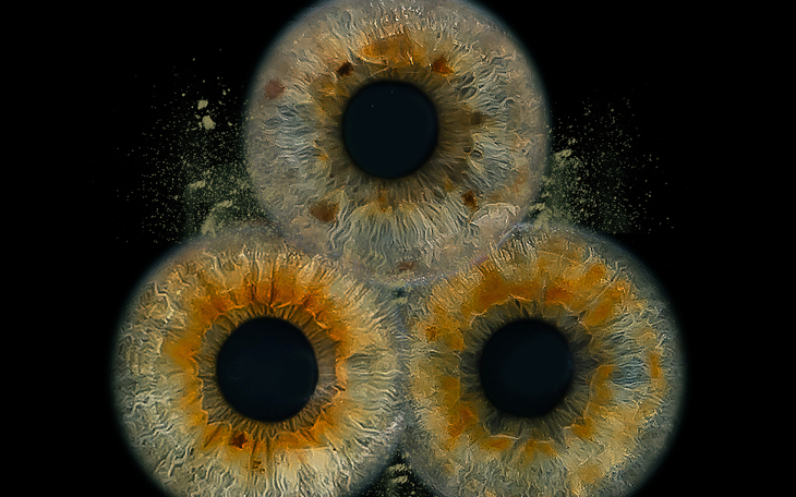 Bild 7