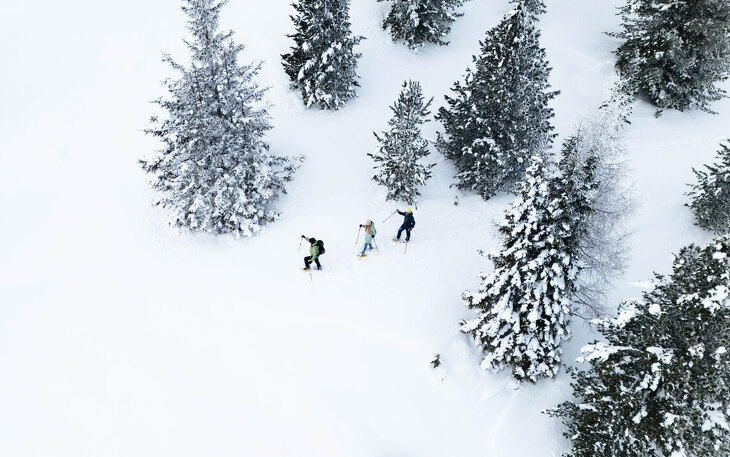 Bild 15