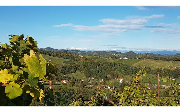 Bild 13