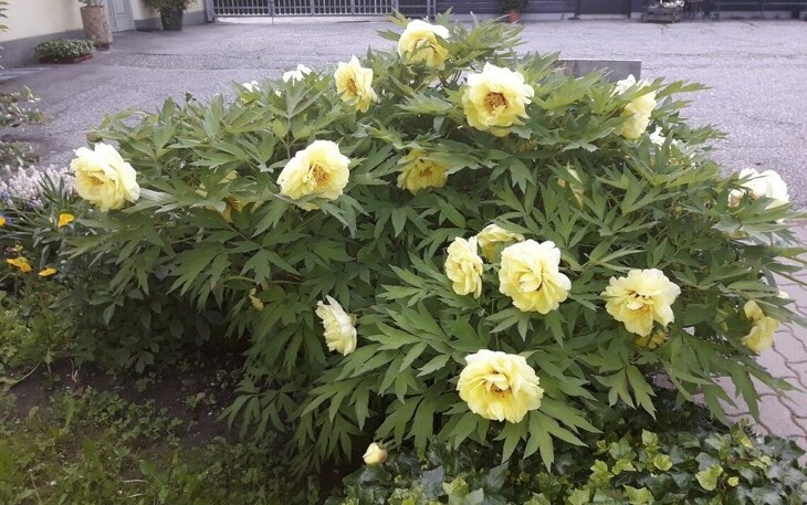 Bild 4